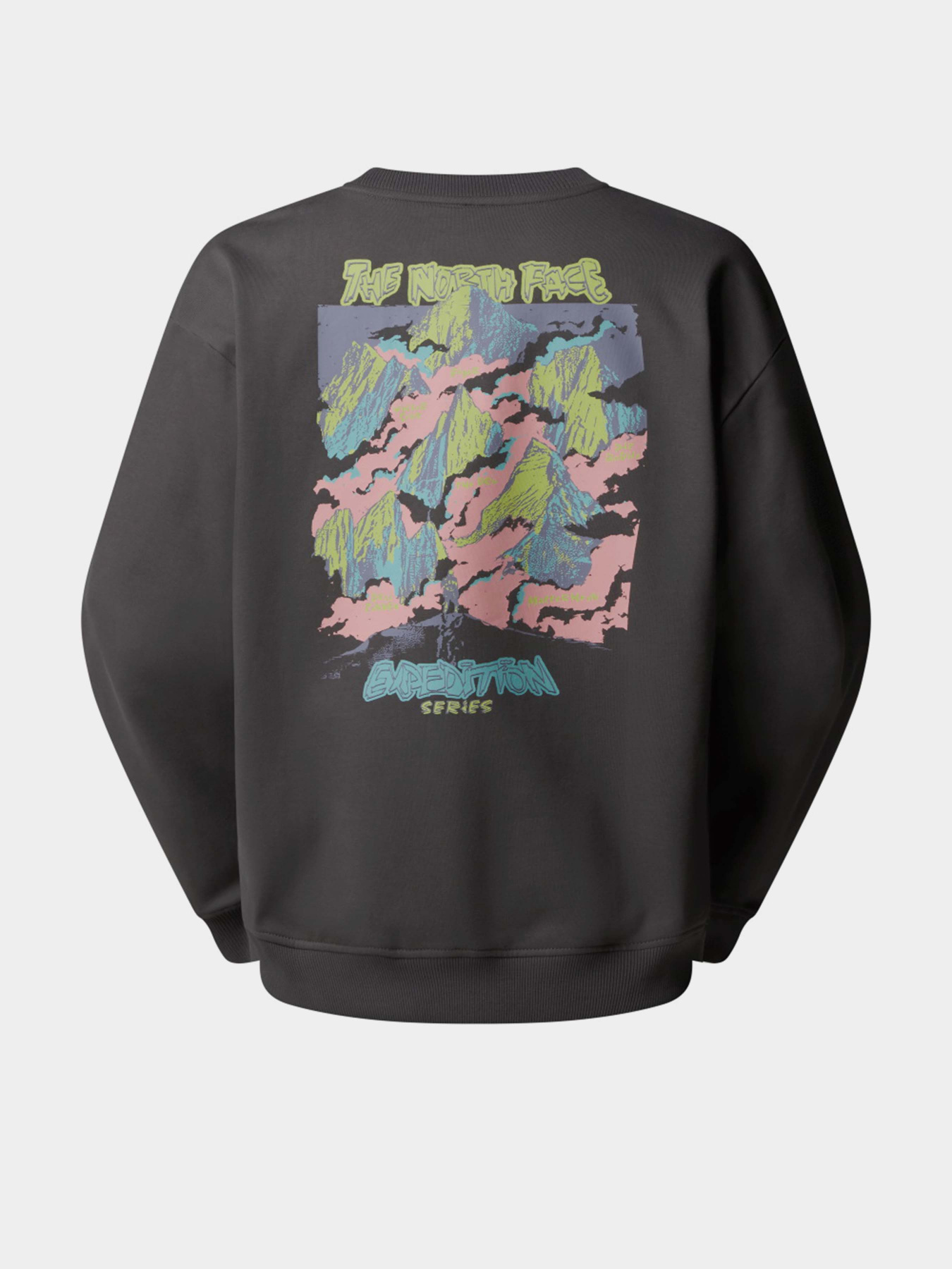 Свитшот The North Face Expedition Celebration модель NF0A8E3GRHI1 Фото