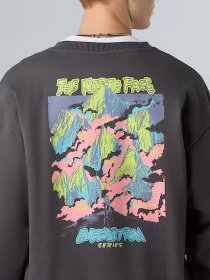 Свитшот The North Face Expedition Celebration модель NF0A8E3GRHI1 Фото