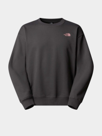 Свитшот The North Face Expedition Celebration модель NF0A8E3GRHI1 Фото