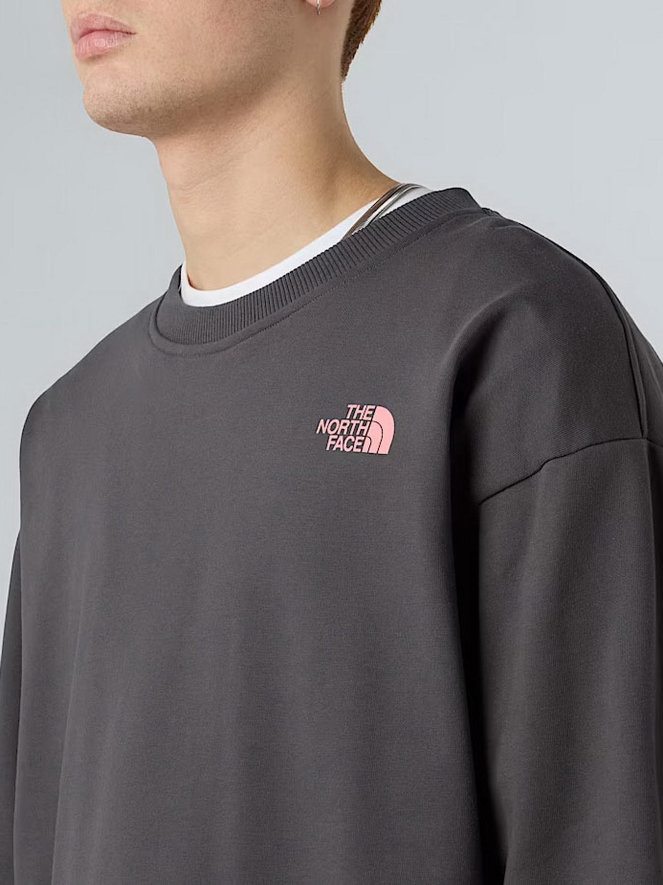 Світшот The North Face Expedition Celebration модель NF0A8E3GRHI1 Фото