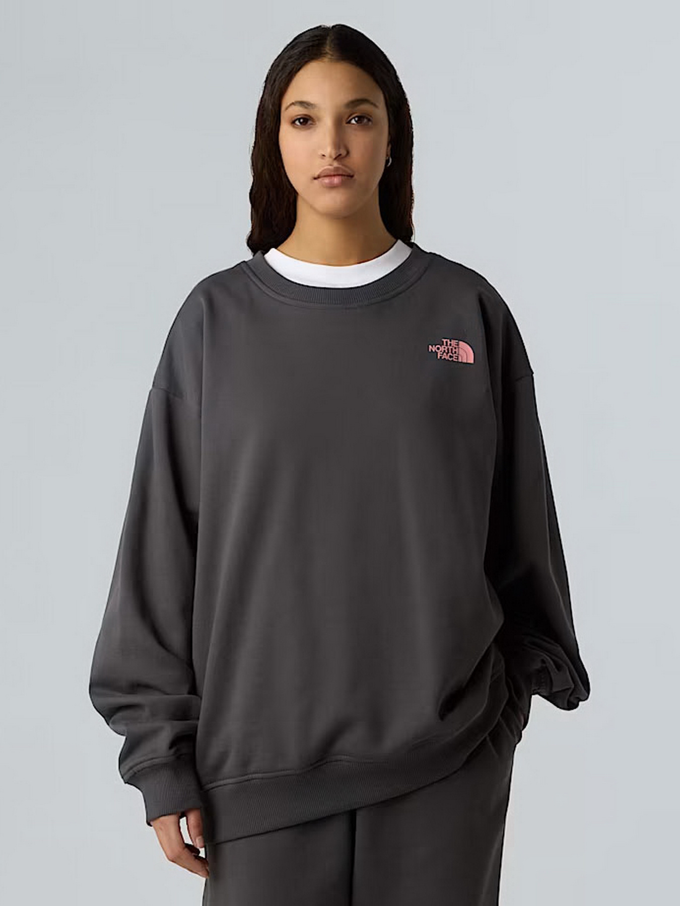 Світшот The North Face Expedition Celebration модель NF0A8E3GRHI1 Фото