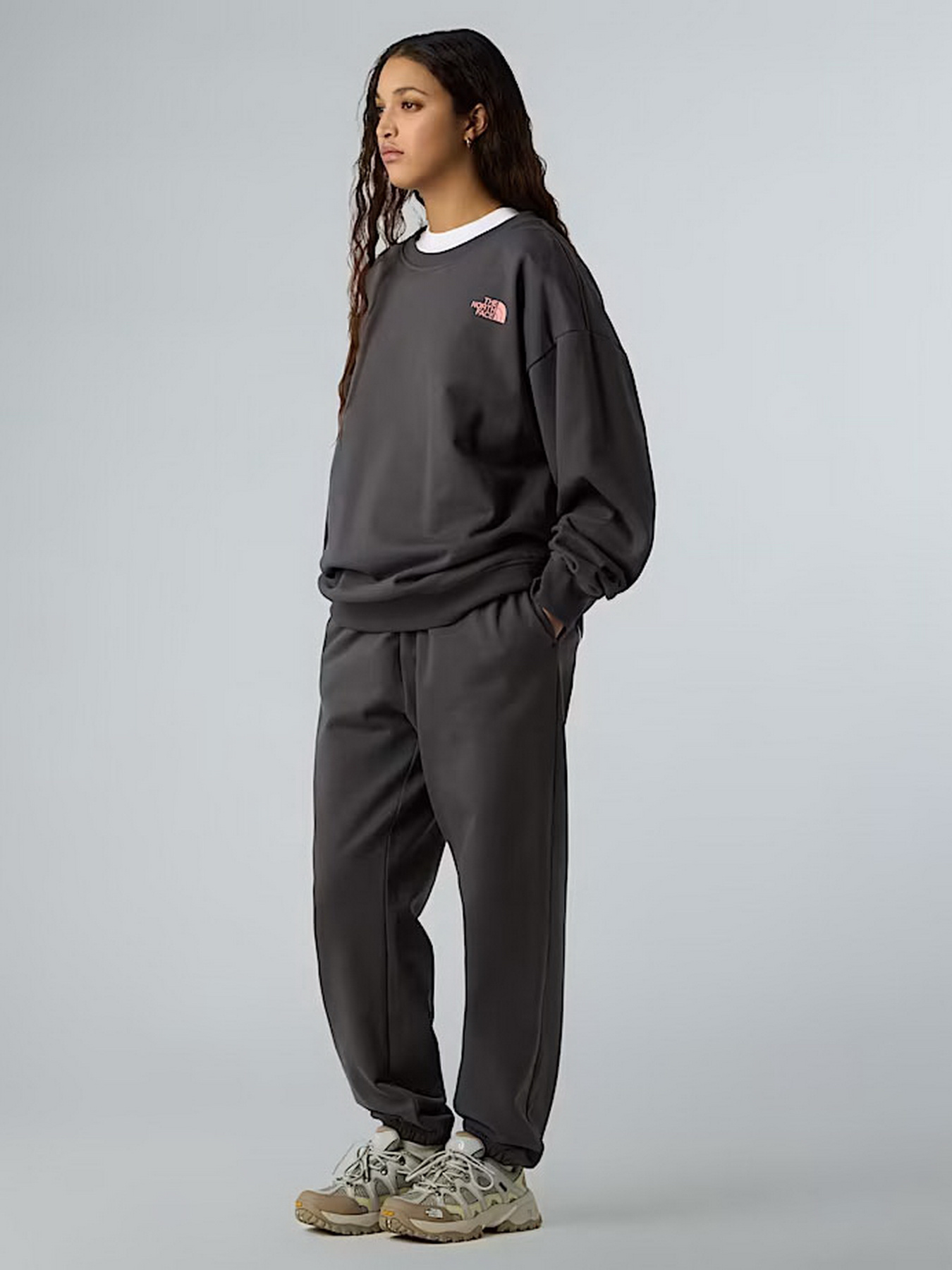 Світшот The North Face Expedition Celebration модель NF0A8E3GRHI1 Фото