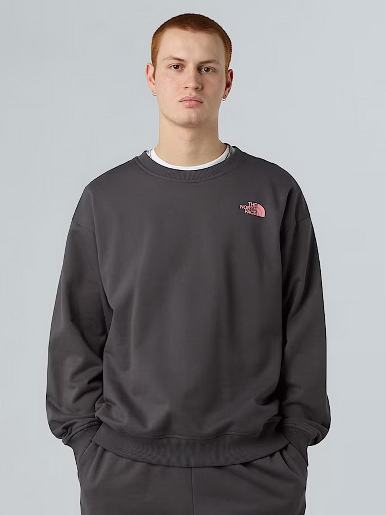 Світшот The North Face Expedition Celebration модель NF0A8E3GRHI1 Фото