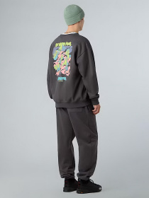 Світшот The North Face Expedition Celebration модель NF0A8E3GRHI1 Фото