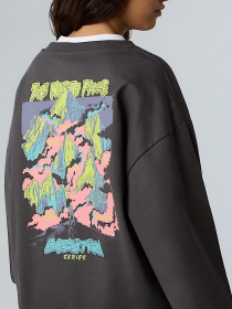 Світшот The North Face Expedition Celebration модель NF0A8E3GRHI1 Фото