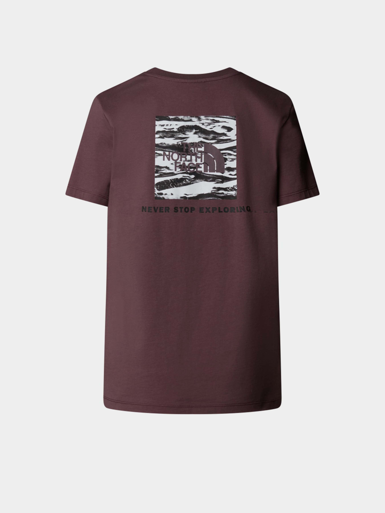 Футболка The North Face NSE Box Edge Of Light Infill модель NF0A8E3JES91 Фото