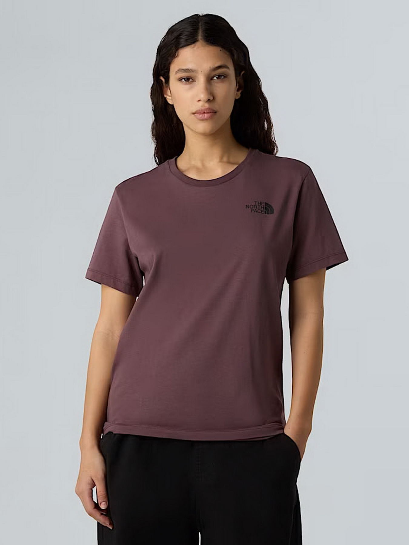 Футболка The North Face NSE Box Edge Of Light Infill модель NF0A8E3JES91 Фото