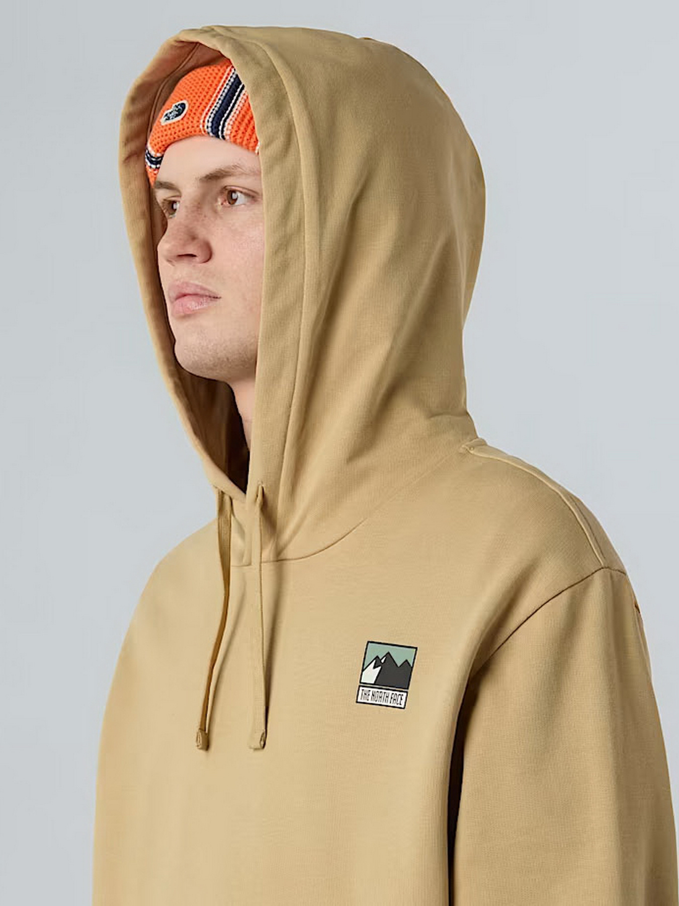 Худи The North Face Mountain Logo модель NF0A8E3NLK51 Фото