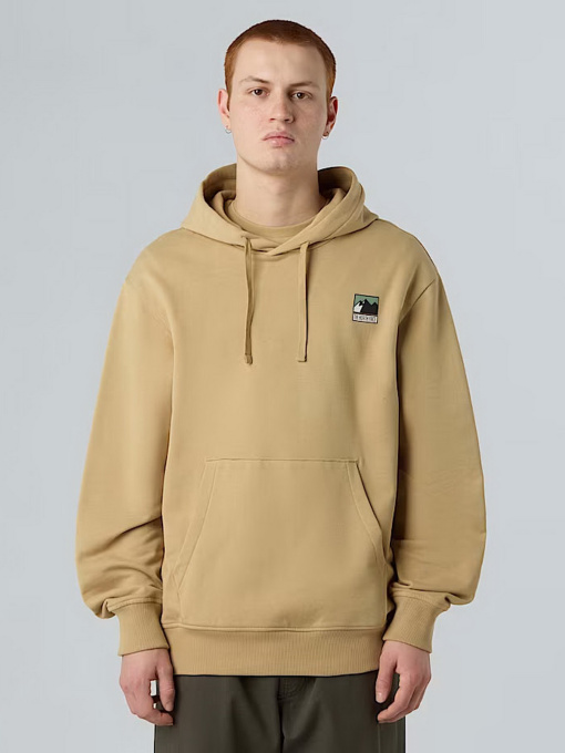Худі та світшоти The North Face Mountain Logo модель NF0A8E3NLK51 Фото