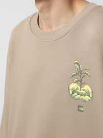 Свитшот The North Face Connect модель NF0A8E3ZBOX1 Фото