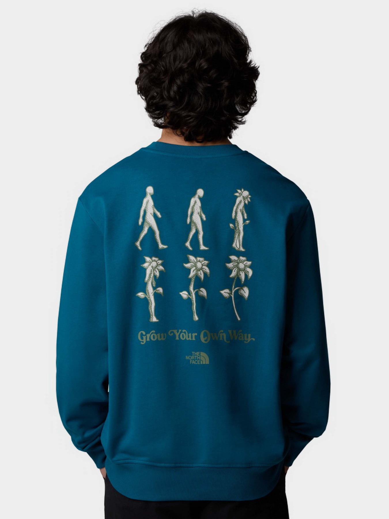 Свитшот The North Face Connect модель NF0A8E3ZBSI1 Фото