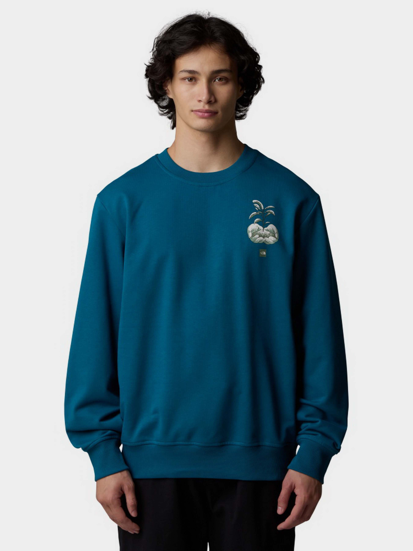 Свитшот The North Face Connect модель NF0A8E3ZBSI1 Фото