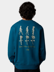 Світшот The North Face Connect модель NF0A8E3ZBSI1 Фото