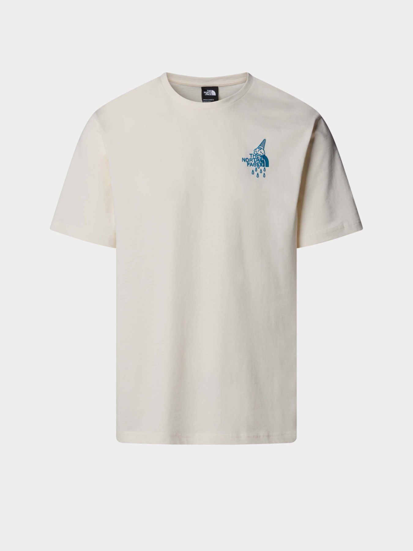 Футболка The North Face Powder Days модель NF0A8E4DQLI1 Фото