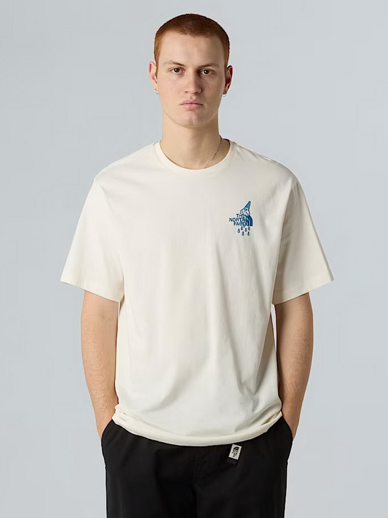 Футболка The North Face Powder Days модель NF0A8E4DQLI1 Фото