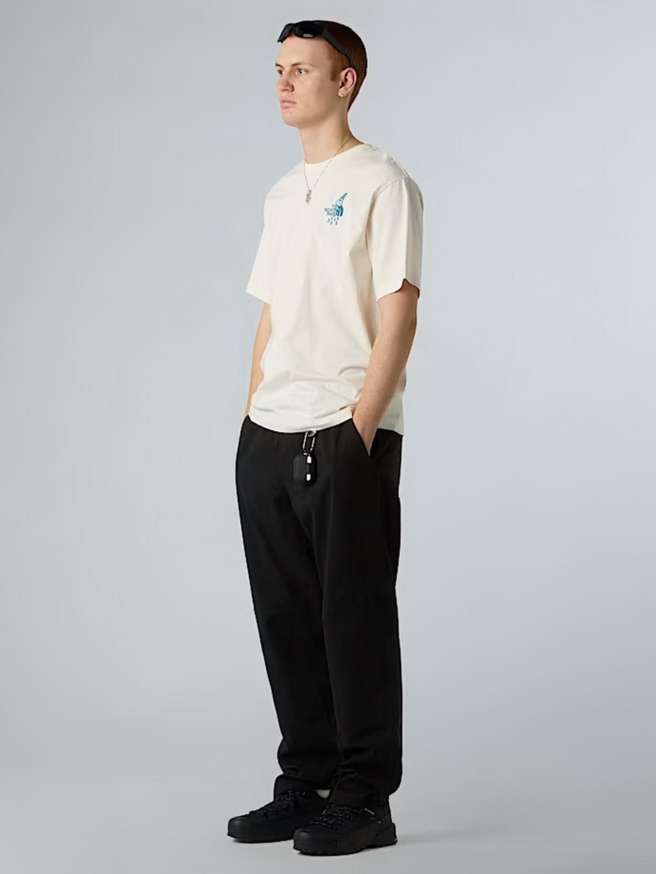 Футболка The North Face Powder Days модель NF0A8E4DQLI1 Футболка The North Face Powder Days модель NF0A8E4DQLI1 Фото