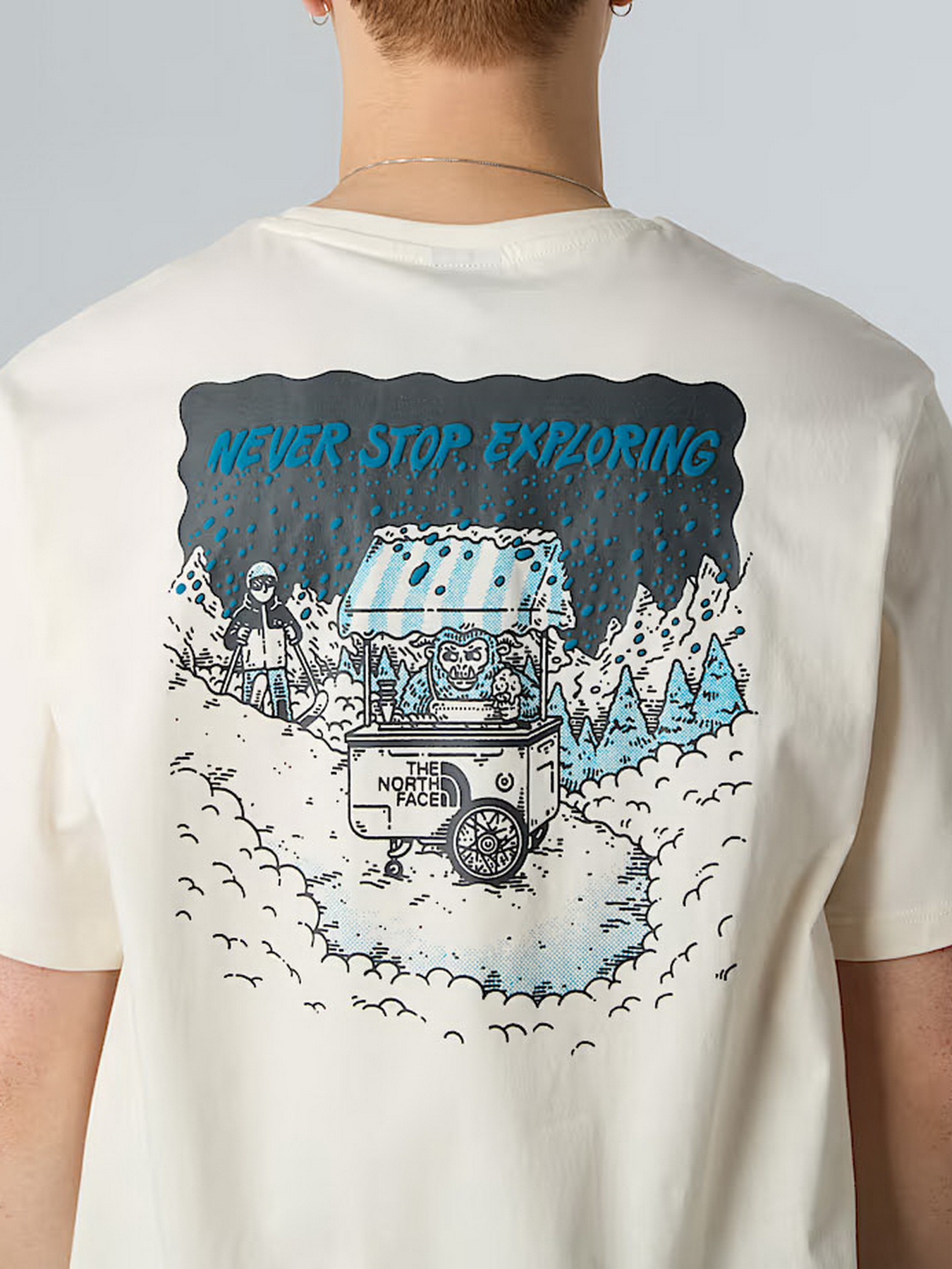 Футболка The North Face Powder Days модель NF0A8E4DQLI1 Футболка The North Face Powder Days модель NF0A8E4DQLI1 Фото