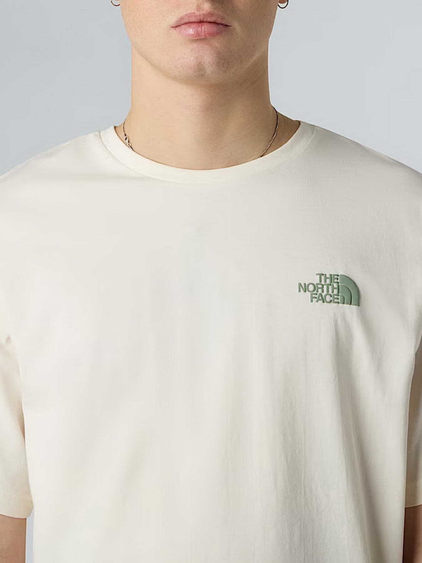 Футболка The North Face NSE Slopes модель NF0A8E4EQLI1 Фото