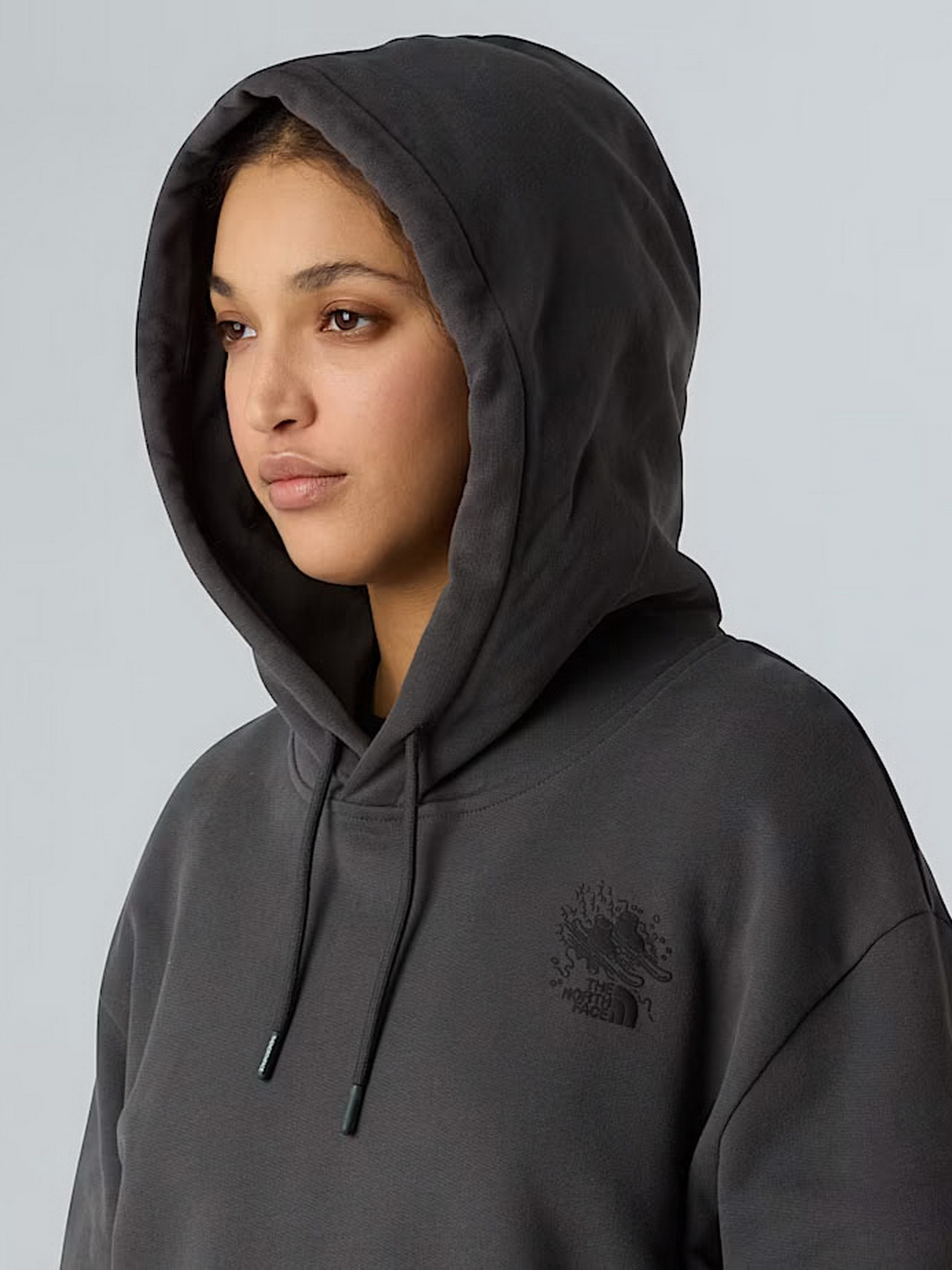 Худи The North Face Powder Days модель NF0A8E4G0C51 Фото