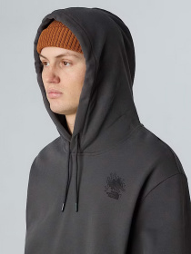 Худи The North Face Powder Days модель NF0A8E4G0C51 Фото