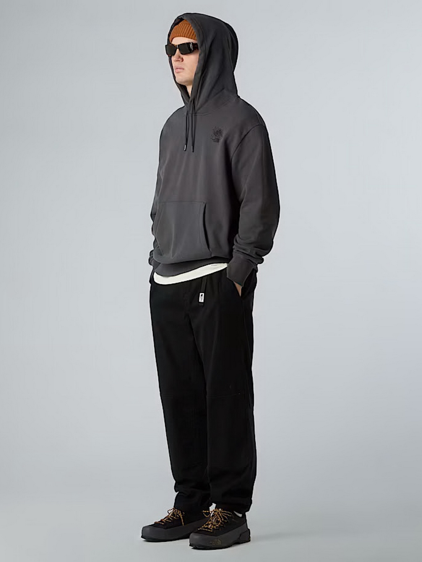 Худі The North Face Powder Days модель NF0A8E4G0C51 Фото