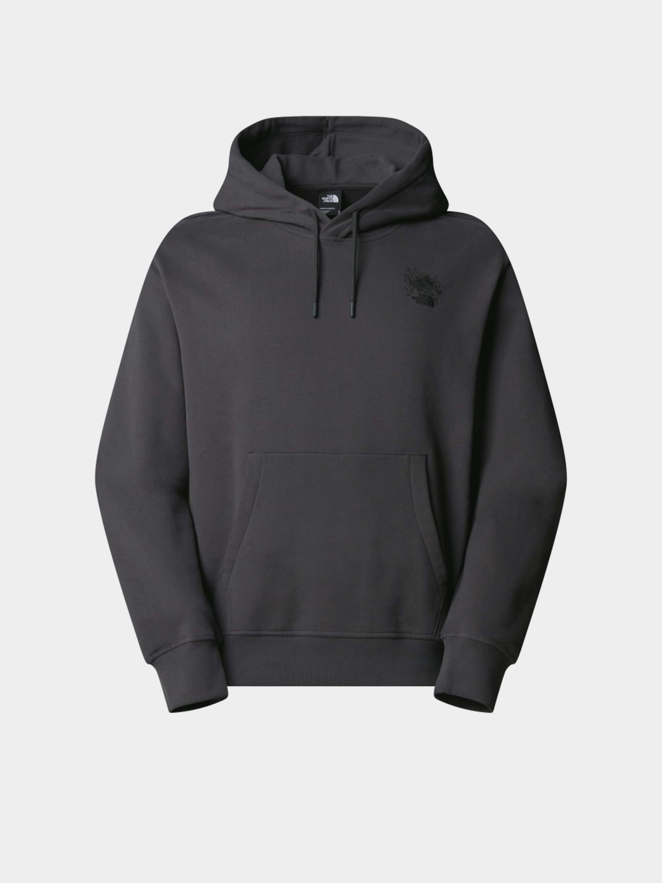 Худі The North Face Powder Days модель NF0A8E4G0C51 Фото