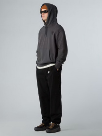 Худі The North Face Powder Days модель NF0A8E4G0C51 Фото