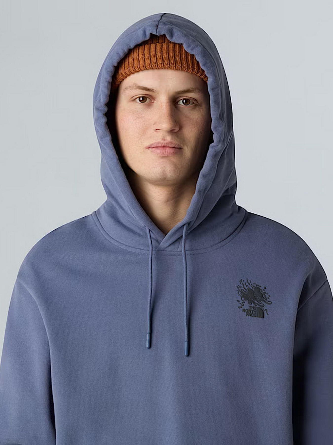 Худи The North Face Powder Days модель NF0A8E4GBTR1 Фото