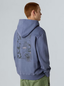 Худи The North Face Powder Days модель NF0A8E4GBTR1 Фото