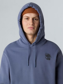 Худи The North Face Powder Days модель NF0A8E4GBTR1 Фото