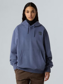 Худи The North Face Powder Days модель NF0A8E4GBTR1 Фото