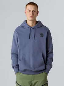 Худи The North Face Powder Days модель NF0A8E4GBTR1 Фото