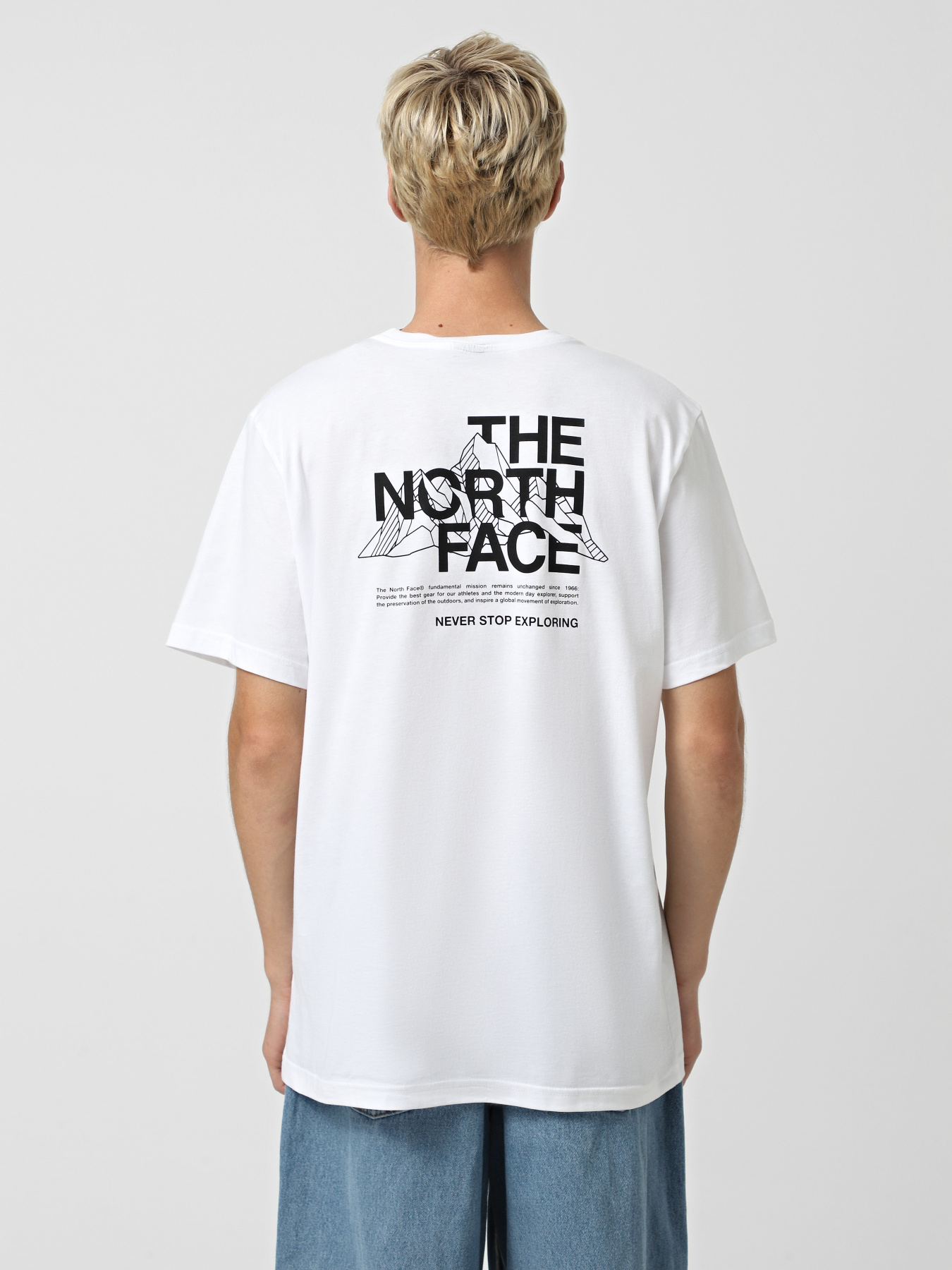 Футболка The North Face Mountain Sketch модель NF0A8EE8FN41 Фото