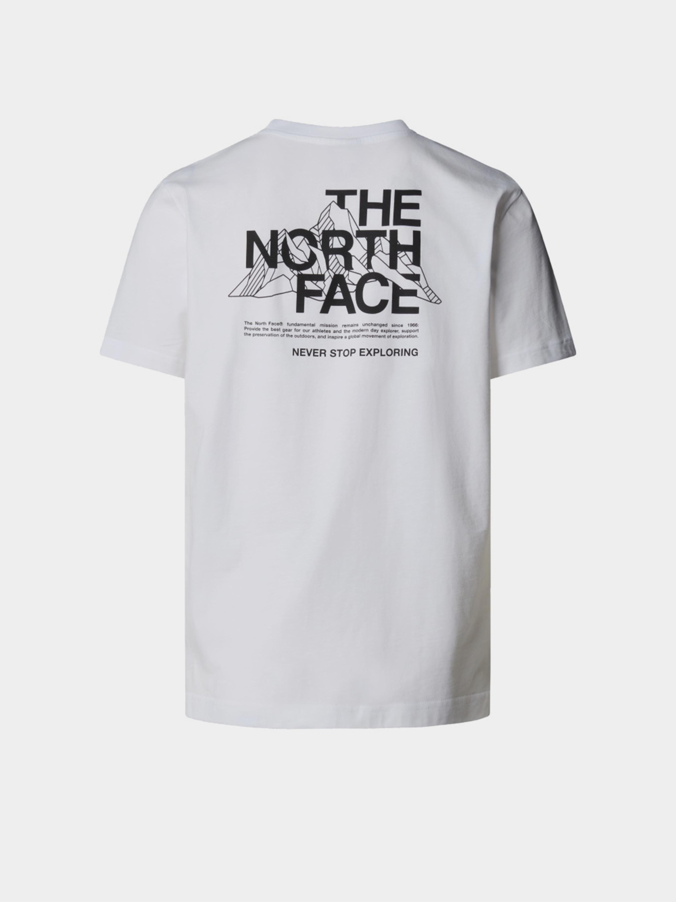 Футболка The North Face Mountain Sketch модель NF0A8EE8FN41 Фото