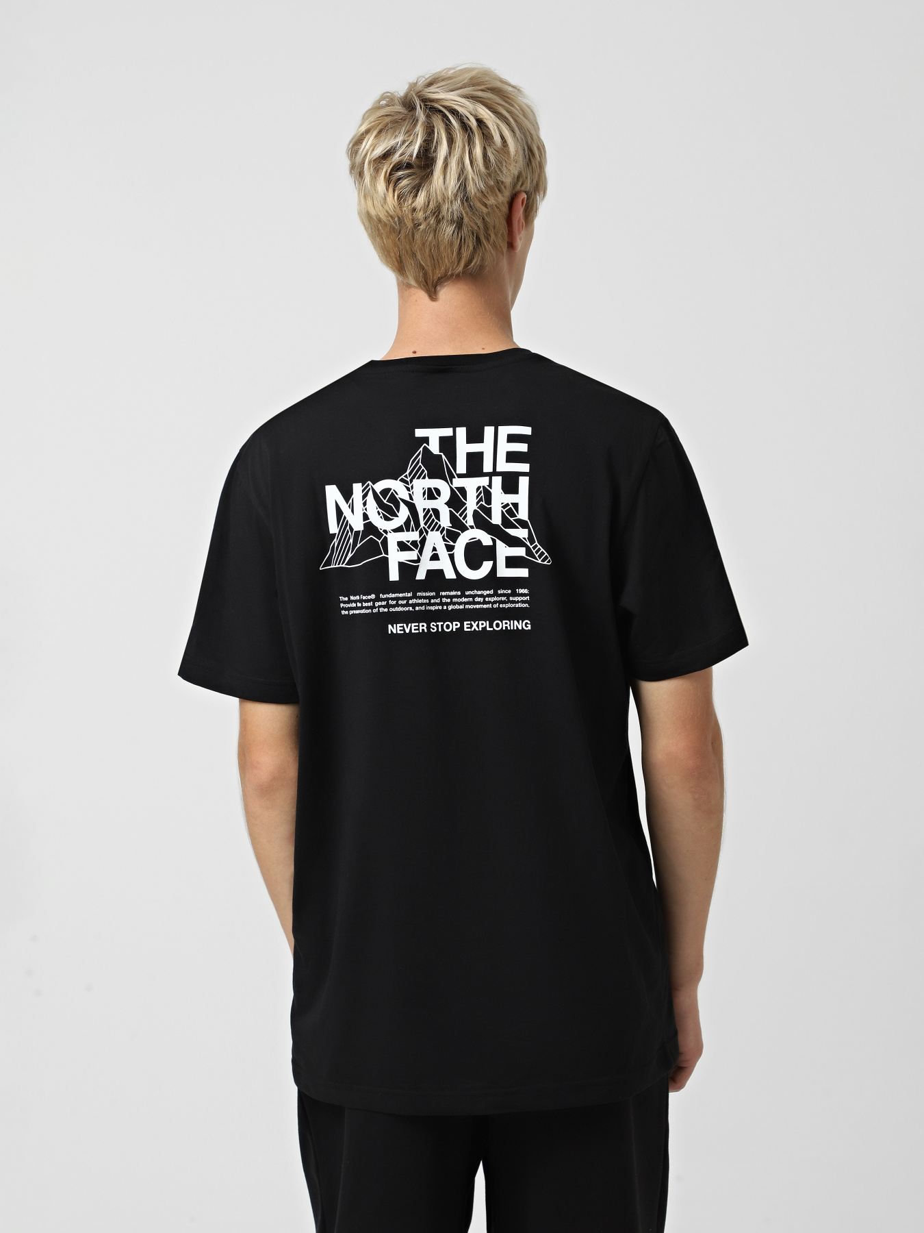 Футболка The North Face Mountain Sketch модель NF0A8EE8JK31 Фото