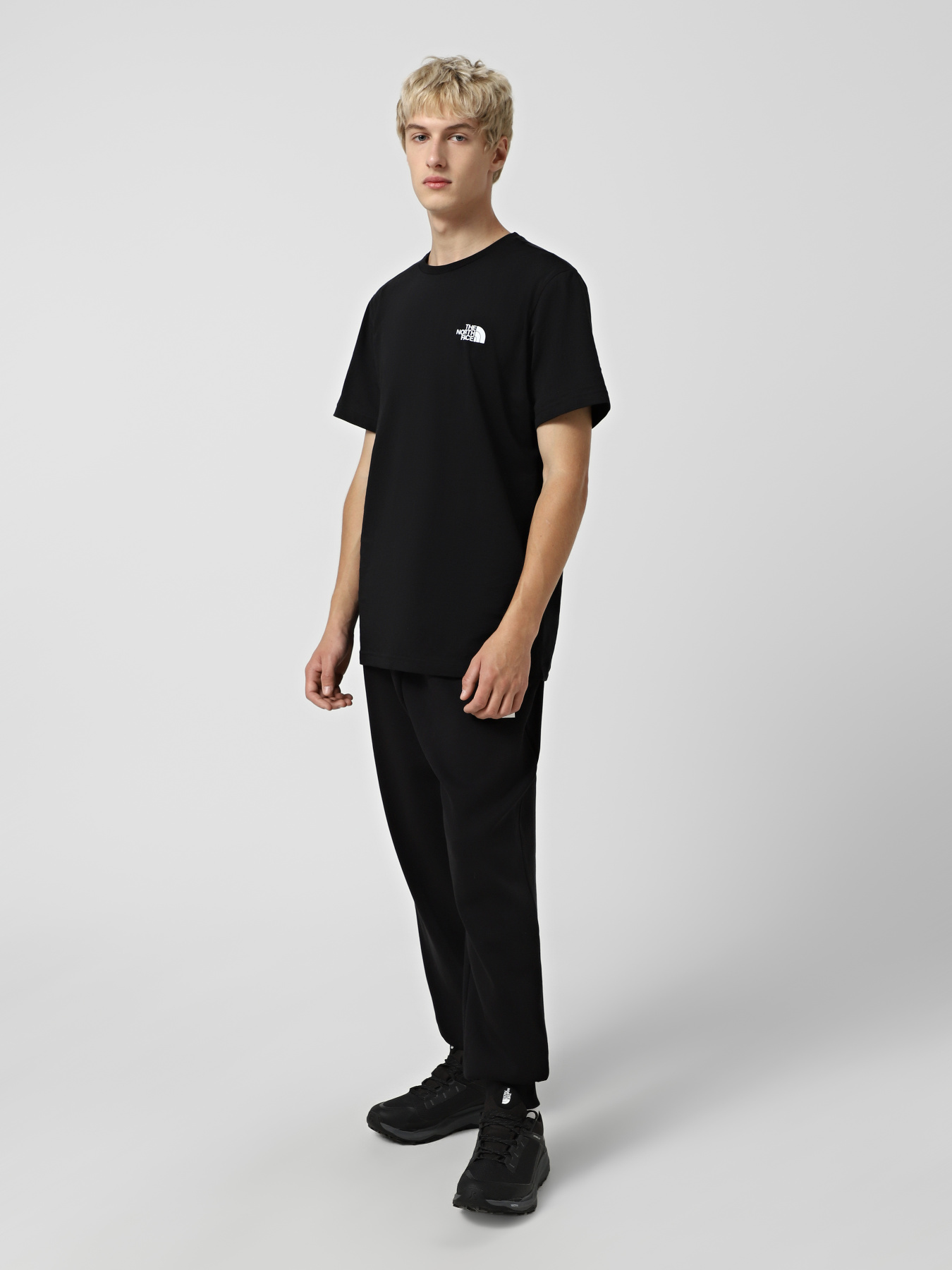 Футболка The North Face Mountain Sketch модель NF0A8EE8JK31 Фото