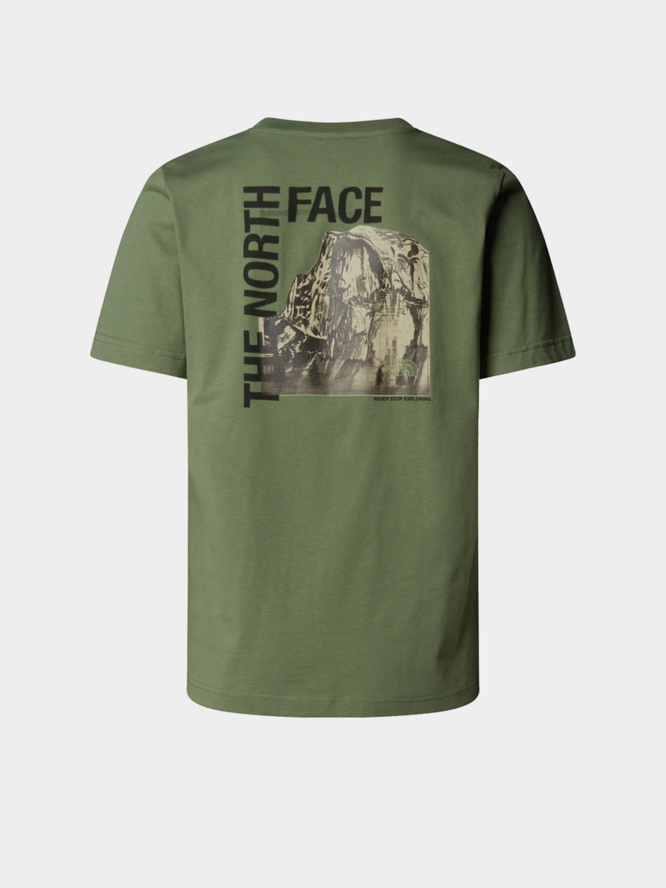Футболка The North Face Half Dome модель NF0A8EE9BO91 Фото