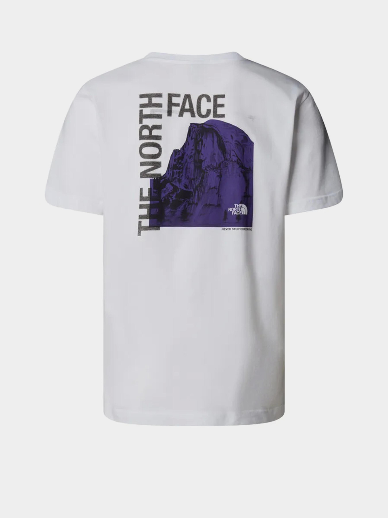 Футболка The North Face Half Dome модель NF0A8EE9FN41 Фото