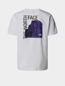 Футболка The North Face Half Dome модель NF0A8EE9FN41 Фото