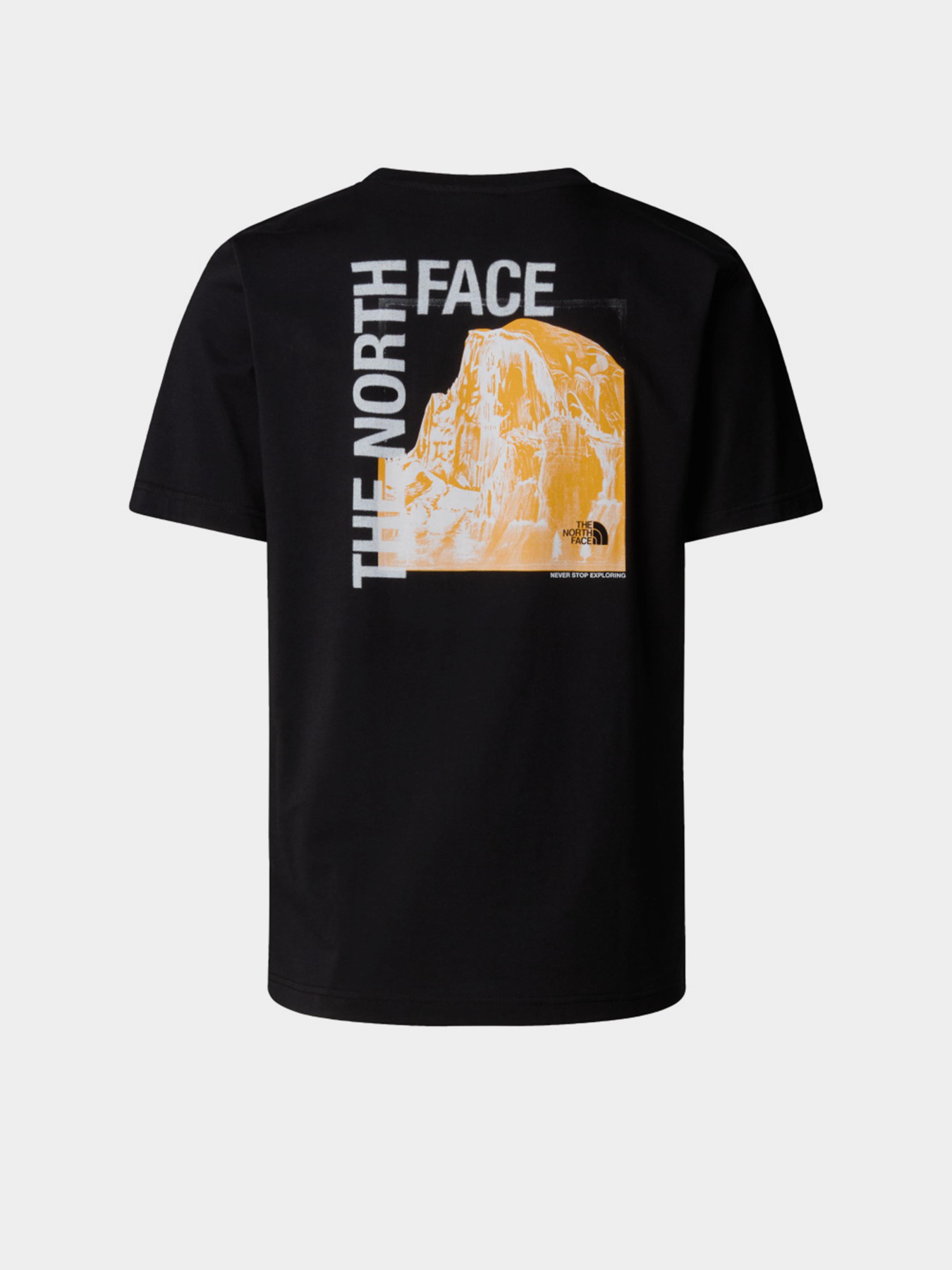 Футболка The North Face Half Dome модель NF0A8EE9JK31 Фото