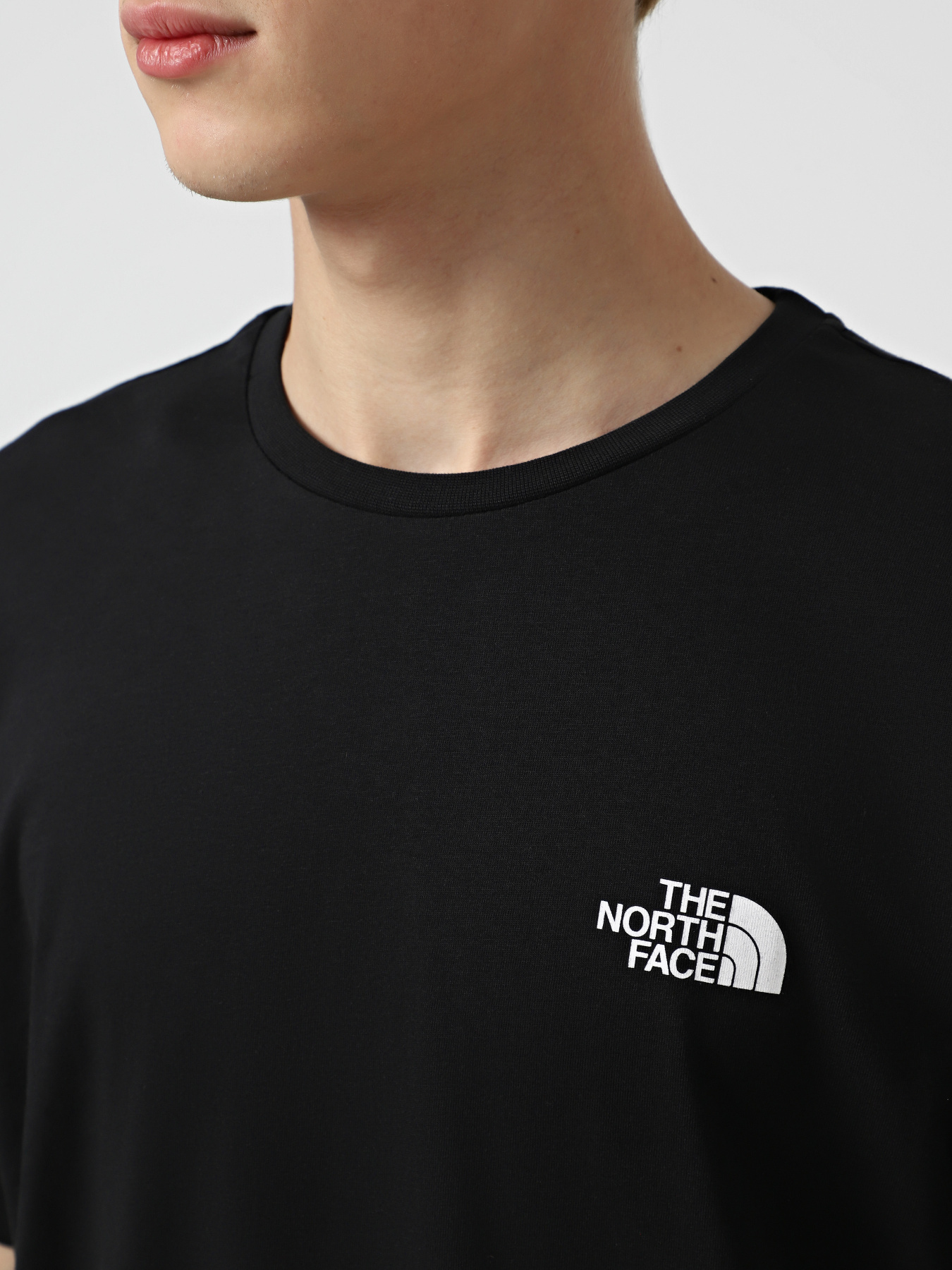 Футболка The North Face Half Dome модель NF0A8EE9JK31 Футболка The North Face Half Dome модель NF0A8EE9JK31 Фото