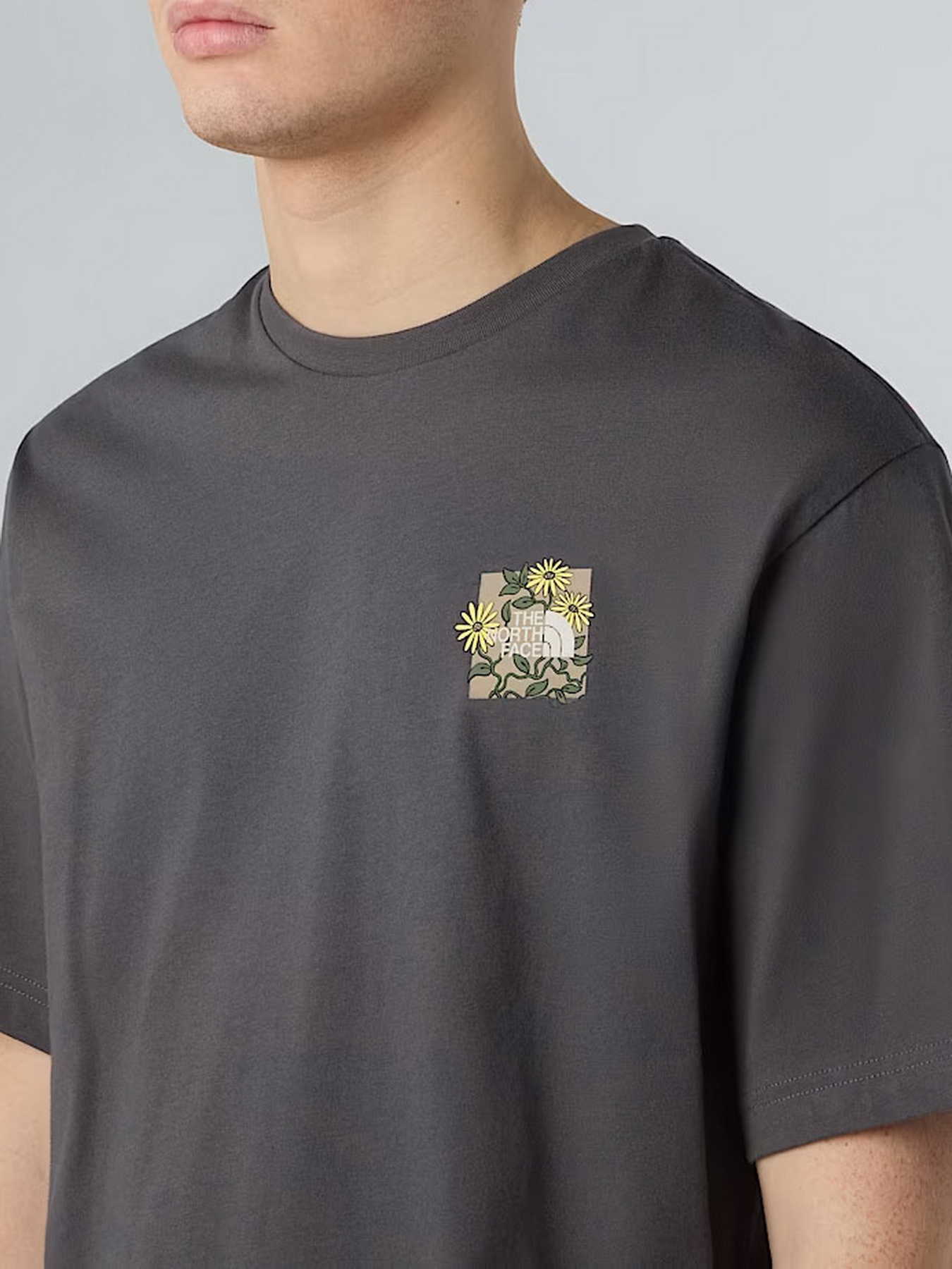 Футболка The North Face Connect модель NF0A8EGWRHI1 Фото