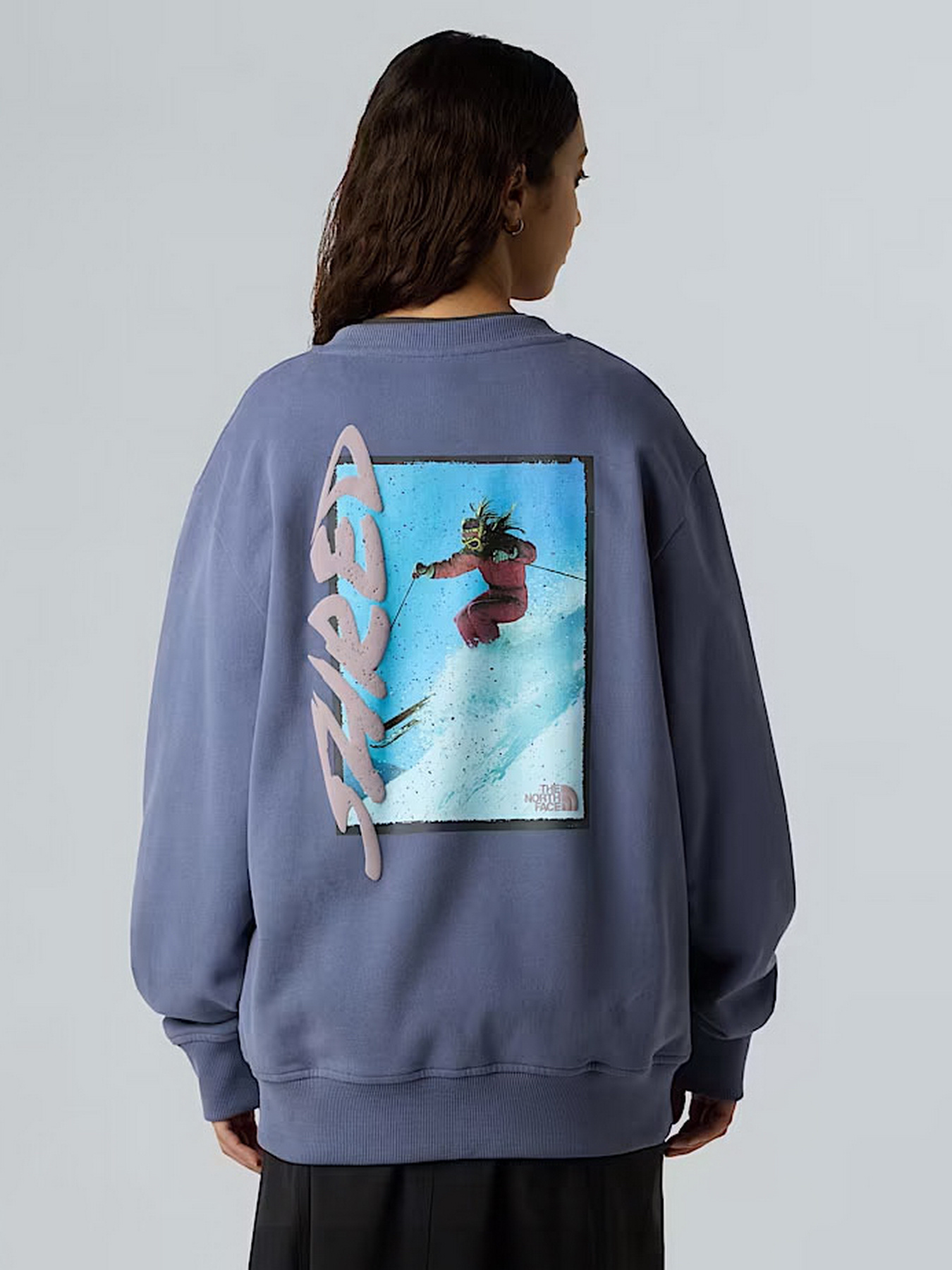 Свитшот The North Face модель NF0A8EU5BTR1 Фото