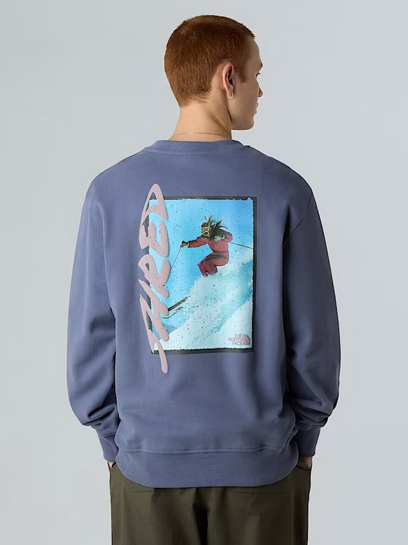 Свитшот The North Face модель NF0A8EU5BTR1 Фото