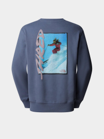 Свитшот The North Face модель NF0A8EU5BTR1 Фото