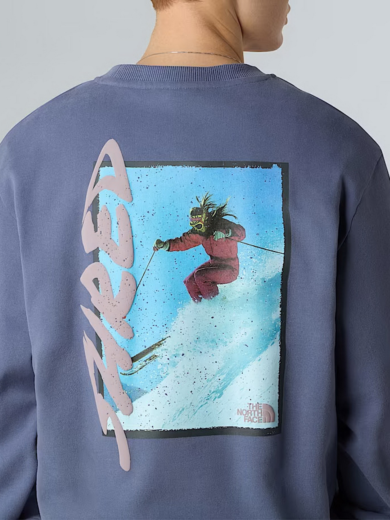 Світшот The North Face модель NF0A8EU5BTR1 Фото