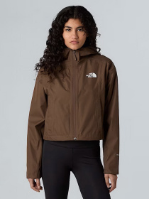 Ветровка The North Face модель NF0A55EP1OI1 Фото