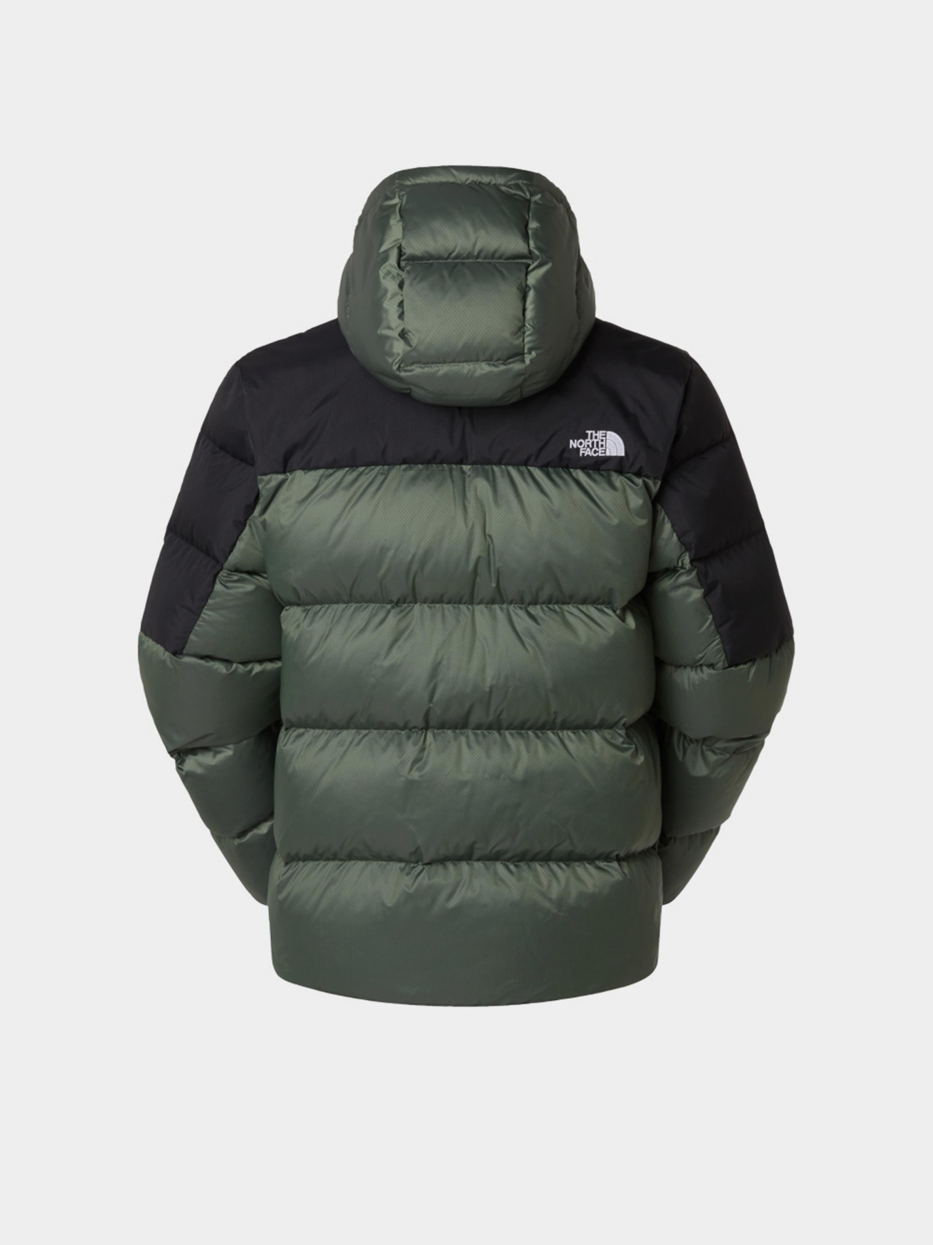 Пуховик The North Face Diablo Down 2.0 модель NF0A8992EIH1 Фото