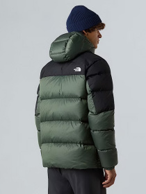 Пуховик The North Face Diablo Down 2.0 модель NF0A8992EIH1 Фото