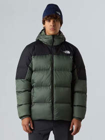 Пуховик The North Face Diablo Down 2.0 модель NF0A8992EIH1 Фото